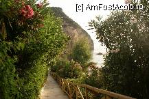 [P14] drumul spre plaja » foto by fifi_7
 - 
<span class="allrVoted glyphicon glyphicon-heart hidden" id="av231353"></span>
<a class="m-l-10 hidden" id="sv231353" onclick="voting_Foto_DelVot(,231353,1198)" role="button">șterge vot <span class="glyphicon glyphicon-remove"></span></a>
<a id="v9231353" class=" c-red"  onclick="voting_Foto_SetVot(231353)" role="button"><span class="glyphicon glyphicon-heart-empty"></span> <b>LIKE</b> = Votează poza</a> <img class="hidden"  id="f231353W9" src="/imagini/loader.gif" border="0" /><span class="AjErrMes hidden" id="e231353ErM"></span>