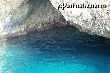 [P18] Corali si o apa superba » foto by Cristina2k8
 - 
<span class="allrVoted glyphicon glyphicon-heart hidden" id="av427949"></span>
<a class="m-l-10 hidden" id="sv427949" onclick="voting_Foto_DelVot(,427949,1198)" role="button">șterge vot <span class="glyphicon glyphicon-remove"></span></a>
<a id="v9427949" class=" c-red"  onclick="voting_Foto_SetVot(427949)" role="button"><span class="glyphicon glyphicon-heart-empty"></span> <b>LIKE</b> = Votează poza</a> <img class="hidden"  id="f427949W9" src="/imagini/loader.gif" border="0" /><span class="AjErrMes hidden" id="e427949ErM"></span>