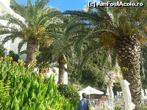 [P05] gradin hotelului. accesul spre piscina » foto by danadana*
 - 
<span class="allrVoted glyphicon glyphicon-heart hidden" id="av538864"></span>
<a class="m-l-10 hidden" id="sv538864" onclick="voting_Foto_DelVot(,538864,1198)" role="button">șterge vot <span class="glyphicon glyphicon-remove"></span></a>
<a id="v9538864" class=" c-red"  onclick="voting_Foto_SetVot(538864)" role="button"><span class="glyphicon glyphicon-heart-empty"></span> <b>LIKE</b> = Votează poza</a> <img class="hidden"  id="f538864W9" src="/imagini/loader.gif" border="0" /><span class="AjErrMes hidden" id="e538864ErM"></span>