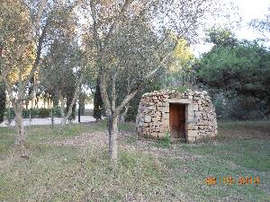 [P33] Bella Vista Hotel - Salina National Park.  » foto by iulianic
 - 
<span class="allrVoted glyphicon glyphicon-heart hidden" id="av566162"></span>
<a class="m-l-10 hidden" id="sv566162" onclick="voting_Foto_DelVot(,566162,1204)" role="button">șterge vot <span class="glyphicon glyphicon-remove"></span></a>
<a id="v9566162" class=" c-red"  onclick="voting_Foto_SetVot(566162)" role="button"><span class="glyphicon glyphicon-heart-empty"></span> <b>LIKE</b> = Votează poza</a> <img class="hidden"  id="f566162W9" src="/imagini/loader.gif" border="0" /><span class="AjErrMes hidden" id="e566162ErM"></span>