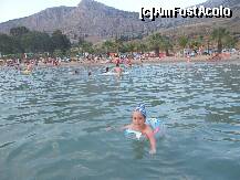 [P27] Karatona beach. palmieri » foto by vioghi
 - 
<span class="allrVoted glyphicon glyphicon-heart hidden" id="av181694"></span>
<a class="m-l-10 hidden" id="sv181694" onclick="voting_Foto_DelVot(,181694,1227)" role="button">șterge vot <span class="glyphicon glyphicon-remove"></span></a>
<a id="v9181694" class=" c-red"  onclick="voting_Foto_SetVot(181694)" role="button"><span class="glyphicon glyphicon-heart-empty"></span> <b>LIKE</b> = Votează poza</a> <img class="hidden"  id="f181694W9" src="/imagini/loader.gif" border="0" /><span class="AjErrMes hidden" id="e181694ErM"></span>