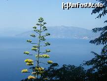 [P08] Peisaj din jurul Nafplio vazut din cetatea Palamidi » foto by vioghi
 - 
<span class="allrVoted glyphicon glyphicon-heart hidden" id="av181663"></span>
<a class="m-l-10 hidden" id="sv181663" onclick="voting_Foto_DelVot(,181663,1227)" role="button">șterge vot <span class="glyphicon glyphicon-remove"></span></a>
<a id="v9181663" class=" c-red"  onclick="voting_Foto_SetVot(181663)" role="button"><span class="glyphicon glyphicon-heart-empty"></span> <b>LIKE</b> = Votează poza</a> <img class="hidden"  id="f181663W9" src="/imagini/loader.gif" border="0" /><span class="AjErrMes hidden" id="e181663ErM"></span>