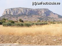 [P13] Grecia - in drum spre Meteore, multa vegetatie uscata » foto by biancuta
 - 
<span class="allrVoted glyphicon glyphicon-heart hidden" id="av165231"></span>
<a class="m-l-10 hidden" id="sv165231" onclick="voting_Foto_DelVot(,165231,1227)" role="button">șterge vot <span class="glyphicon glyphicon-remove"></span></a>
<a id="v9165231" class=" c-red"  onclick="voting_Foto_SetVot(165231)" role="button"><span class="glyphicon glyphicon-heart-empty"></span> <b>LIKE</b> = Votează poza</a> <img class="hidden"  id="f165231W9" src="/imagini/loader.gif" border="0" /><span class="AjErrMes hidden" id="e165231ErM"></span>