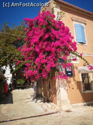 [P20] Fiskardo, Kefalonia » foto by crismis
 - 
<span class="allrVoted glyphicon glyphicon-heart hidden" id="av1256672"></span>
<a class="m-l-10 hidden" id="sv1256672" onclick="voting_Foto_DelVot(,1256672,1227)" role="button">șterge vot <span class="glyphicon glyphicon-remove"></span></a>
<a id="v91256672" class=" c-red"  onclick="voting_Foto_SetVot(1256672)" role="button"><span class="glyphicon glyphicon-heart-empty"></span> <b>LIKE</b> = Votează poza</a> <img class="hidden"  id="f1256672W9" src="/imagini/loader.gif" border="0" /><span class="AjErrMes hidden" id="e1256672ErM"></span>