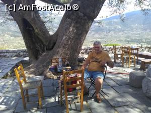 [P40] O scurtă pauză de suc și cafea la umbra unui copac falnic din curtea Mănăstirii Hosios Loukas » foto by Carmen Ion
 - 
<span class="allrVoted glyphicon glyphicon-heart hidden" id="av1132802"></span>
<a class="m-l-10 hidden" id="sv1132802" onclick="voting_Foto_DelVot(,1132802,1227)" role="button">șterge vot <span class="glyphicon glyphicon-remove"></span></a>
<a id="v91132802" class=" c-red"  onclick="voting_Foto_SetVot(1132802)" role="button"><span class="glyphicon glyphicon-heart-empty"></span> <b>LIKE</b> = Votează poza</a> <img class="hidden"  id="f1132802W9" src="/imagini/loader.gif" border="0" /><span class="AjErrMes hidden" id="e1132802ErM"></span>