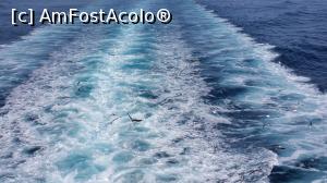 [P15] pescarusii care ramaneau in urma pe masura ce ne departam de insula...  » foto by micky81bv
 - 
<span class="allrVoted glyphicon glyphicon-heart hidden" id="av754740"></span>
<a class="m-l-10 hidden" id="sv754740" onclick="voting_Foto_DelVot(,754740,1227)" role="button">șterge vot <span class="glyphicon glyphicon-remove"></span></a>
<a id="v9754740" class=" c-red"  onclick="voting_Foto_SetVot(754740)" role="button"><span class="glyphicon glyphicon-heart-empty"></span> <b>LIKE</b> = Votează poza</a> <img class="hidden"  id="f754740W9" src="/imagini/loader.gif" border="0" /><span class="AjErrMes hidden" id="e754740ErM"></span>