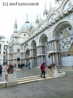 [P20] Despre dogi » foto by Daniela H
 - 
<span class="allrVoted glyphicon glyphicon-heart hidden" id="av1356163"></span>
<a class="m-l-10 hidden" id="sv1356163" onclick="voting_Foto_DelVot(,1356163,1229)" role="button">șterge vot <span class="glyphicon glyphicon-remove"></span></a>
<a id="v91356163" class=" c-red"  onclick="voting_Foto_SetVot(1356163)" role="button"><span class="glyphicon glyphicon-heart-empty"></span> <b>LIKE</b> = Votează poza</a> <img class="hidden"  id="f1356163W9" src="/imagini/loader.gif" border="0" /><span class="AjErrMes hidden" id="e1356163ErM"></span>