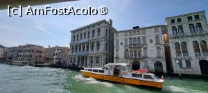 [P17] Alunecând pe Canal Grande » foto by irinad
 - 
<span class="allrVoted glyphicon glyphicon-heart hidden" id="av1477309"></span>
<a class="m-l-10 hidden" id="sv1477309" onclick="voting_Foto_DelVot(,1477309,1229)" role="button">șterge vot <span class="glyphicon glyphicon-remove"></span></a>
<a id="v91477309" class=" c-red"  onclick="voting_Foto_SetVot(1477309)" role="button"><span class="glyphicon glyphicon-heart-empty"></span> <b>LIKE</b> = Votează poza</a> <img class="hidden"  id="f1477309W9" src="/imagini/loader.gif" border="0" /><span class="AjErrMes hidden" id="e1477309ErM"></span>