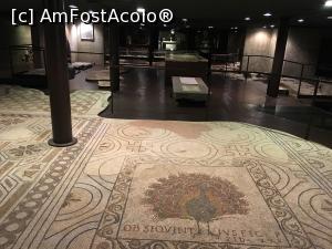 [P27] Sit-ul arheologic de sub Dom.  » foto by Aurici
 - 
<span class="allrVoted glyphicon glyphicon-heart hidden" id="av1087554"></span>
<a class="m-l-10 hidden" id="sv1087554" onclick="voting_Foto_DelVot(,1087554,1230)" role="button">șterge vot <span class="glyphicon glyphicon-remove"></span></a>
<a id="v91087554" class=" c-red"  onclick="voting_Foto_SetVot(1087554)" role="button"><span class="glyphicon glyphicon-heart-empty"></span> <b>LIKE</b> = Votează poza</a> <img class="hidden"  id="f1087554W9" src="/imagini/loader.gif" border="0" /><span class="AjErrMes hidden" id="e1087554ErM"></span>