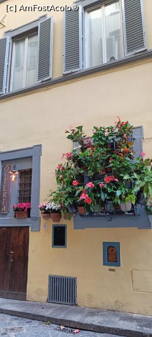 [P08] Fereastră de vin și vegetație. » foto by tata123 🔱
 - 
<span class="allrVoted glyphicon glyphicon-heart hidden" id="av1502167"></span>
<a class="m-l-10 hidden" id="sv1502167" onclick="voting_Foto_DelVot(,1502167,1230)" role="button">șterge vot <span class="glyphicon glyphicon-remove"></span></a>
<a id="v91502167" class=" c-red"  onclick="voting_Foto_SetVot(1502167)" role="button"><span class="glyphicon glyphicon-heart-empty"></span> <b>LIKE</b> = Votează poza</a> <img class="hidden"  id="f1502167W9" src="/imagini/loader.gif" border="0" /><span class="AjErrMes hidden" id="e1502167ErM"></span>