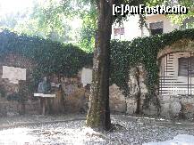 [P54] Imagine din curtea unde este mormantul Julietei » foto by georgiana
 - 
<span class="allrVoted glyphicon glyphicon-heart hidden" id="av261159"></span>
<a class="m-l-10 hidden" id="sv261159" onclick="voting_Foto_DelVot(,261159,1233)" role="button">șterge vot <span class="glyphicon glyphicon-remove"></span></a>
<a id="v9261159" class=" c-red"  onclick="voting_Foto_SetVot(261159)" role="button"><span class="glyphicon glyphicon-heart-empty"></span> <b>LIKE</b> = Votează poza</a> <img class="hidden"  id="f261159W9" src="/imagini/loader.gif" border="0" /><span class="AjErrMes hidden" id="e261159ErM"></span>