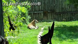 [P06] La Viva Natura Park » foto by johnnybegoode
 - 
<span class="allrVoted glyphicon glyphicon-heart hidden" id="av993628"></span>
<a class="m-l-10 hidden" id="sv993628" onclick="voting_Foto_DelVot(,993628,1233)" role="button">șterge vot <span class="glyphicon glyphicon-remove"></span></a>
<a id="v9993628" class=" c-red"  onclick="voting_Foto_SetVot(993628)" role="button"><span class="glyphicon glyphicon-heart-empty"></span> <b>LIKE</b> = Votează poza</a> <img class="hidden"  id="f993628W9" src="/imagini/loader.gif" border="0" /><span class="AjErrMes hidden" id="e993628ErM"></span>