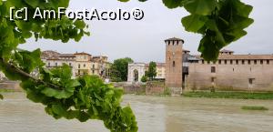 [P12] lângă Castelvecchio » foto by Rofri
 - 
<span class="allrVoted glyphicon glyphicon-heart hidden" id="av1090987"></span>
<a class="m-l-10 hidden" id="sv1090987" onclick="voting_Foto_DelVot(,1090987,1233)" role="button">șterge vot <span class="glyphicon glyphicon-remove"></span></a>
<a id="v91090987" class=" c-red"  onclick="voting_Foto_SetVot(1090987)" role="button"><span class="glyphicon glyphicon-heart-empty"></span> <b>LIKE</b> = Votează poza</a> <img class="hidden"  id="f1090987W9" src="/imagini/loader.gif" border="0" /><span class="AjErrMes hidden" id="e1090987ErM"></span>