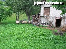 [P19] Casa taraneasca in Elvetia » foto by cristi.dobrin
 - 
<span class="allrVoted glyphicon glyphicon-heart hidden" id="av329802"></span>
<a class="m-l-10 hidden" id="sv329802" onclick="voting_Foto_DelVot(,329802,1236)" role="button">șterge vot <span class="glyphicon glyphicon-remove"></span></a>
<a id="v9329802" class=" c-red"  onclick="voting_Foto_SetVot(329802)" role="button"><span class="glyphicon glyphicon-heart-empty"></span> <b>LIKE</b> = Votează poza</a> <img class="hidden"  id="f329802W9" src="/imagini/loader.gif" border="0" /><span class="AjErrMes hidden" id="e329802ErM"></span>