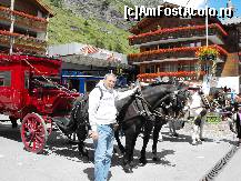 [P01] Flori, caii si aer cyrat, ce ne-am putea dori mai mult intr-0 vacanta reusita. » foto by vioricapetrescu*
 - 
<span class="allrVoted glyphicon glyphicon-heart hidden" id="av154013"></span>
<a class="m-l-10 hidden" id="sv154013" onclick="voting_Foto_DelVot(,154013,1236)" role="button">șterge vot <span class="glyphicon glyphicon-remove"></span></a>
<a id="v9154013" class=" c-red"  onclick="voting_Foto_SetVot(154013)" role="button"><span class="glyphicon glyphicon-heart-empty"></span> <b>LIKE</b> = Votează poza</a> <img class="hidden"  id="f154013W9" src="/imagini/loader.gif" border="0" /><span class="AjErrMes hidden" id="e154013ErM"></span>
