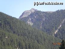 [P37] Pe acolo urca trenul » foto by Alina Morar
 - 
<span class="allrVoted glyphicon glyphicon-heart hidden" id="av124614"></span>
<a class="m-l-10 hidden" id="sv124614" onclick="voting_Foto_DelVot(,124614,1236)" role="button">șterge vot <span class="glyphicon glyphicon-remove"></span></a>
<a id="v9124614" class=" c-red"  onclick="voting_Foto_SetVot(124614)" role="button"><span class="glyphicon glyphicon-heart-empty"></span> <b>LIKE</b> = Votează poza</a> <img class="hidden"  id="f124614W9" src="/imagini/loader.gif" border="0" /><span class="AjErrMes hidden" id="e124614ErM"></span>