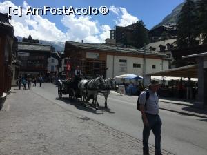 [P01] Zermatt fara poliare » foto by Mete
 - 
<span class="allrVoted glyphicon glyphicon-heart hidden" id="av905584"></span>
<a class="m-l-10 hidden" id="sv905584" onclick="voting_Foto_DelVot(,905584,1236)" role="button">șterge vot <span class="glyphicon glyphicon-remove"></span></a>
<a id="v9905584" class=" c-red"  onclick="voting_Foto_SetVot(905584)" role="button"><span class="glyphicon glyphicon-heart-empty"></span> <b>LIKE</b> = Votează poza</a> <img class="hidden"  id="f905584W9" src="/imagini/loader.gif" border="0" /><span class="AjErrMes hidden" id="e905584ErM"></span>