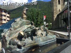 [P02] Famtana marmotelor Zermatt » foto by Mete
 - 
<span class="allrVoted glyphicon glyphicon-heart hidden" id="av905585"></span>
<a class="m-l-10 hidden" id="sv905585" onclick="voting_Foto_DelVot(,905585,1236)" role="button">șterge vot <span class="glyphicon glyphicon-remove"></span></a>
<a id="v9905585" class=" c-red"  onclick="voting_Foto_SetVot(905585)" role="button"><span class="glyphicon glyphicon-heart-empty"></span> <b>LIKE</b> = Votează poza</a> <img class="hidden"  id="f905585W9" src="/imagini/loader.gif" border="0" /><span class="AjErrMes hidden" id="e905585ErM"></span>