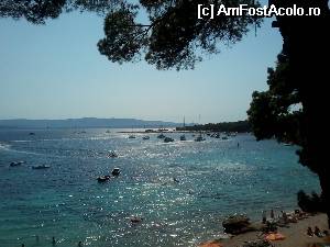 [P39] Zlatni Rat sau 'Cornul de Aur' » foto by Gioia
 - 
<span class="allrVoted glyphicon glyphicon-heart hidden" id="av544431"></span>
<a class="m-l-10 hidden" id="sv544431" onclick="voting_Foto_DelVot(,544431,1238)" role="button">șterge vot <span class="glyphicon glyphicon-remove"></span></a>
<a id="v9544431" class=" c-red"  onclick="voting_Foto_SetVot(544431)" role="button"><span class="glyphicon glyphicon-heart-empty"></span> <b>LIKE</b> = Votează poza</a> <img class="hidden"  id="f544431W9" src="/imagini/loader.gif" border="0" /><span class="AjErrMes hidden" id="e544431ErM"></span>