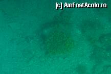[P05] Fundul marii vazut in plimarea noastra cu glass-boat-ul. » foto by elena_iasi
 - 
<span class="allrVoted glyphicon glyphicon-heart hidden" id="av240024"></span>
<a class="m-l-10 hidden" id="sv240024" onclick="voting_Foto_DelVot(,240024,1238)" role="button">șterge vot <span class="glyphicon glyphicon-remove"></span></a>
<a id="v9240024" class=" c-red"  onclick="voting_Foto_SetVot(240024)" role="button"><span class="glyphicon glyphicon-heart-empty"></span> <b>LIKE</b> = Votează poza</a> <img class="hidden"  id="f240024W9" src="/imagini/loader.gif" border="0" /><span class="AjErrMes hidden" id="e240024ErM"></span>