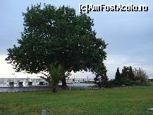 [P10] Dion Pallace & SPA Litochoro - Pieria - Mai 2013 » foto by ionescunic
 - 
<span class="allrVoted glyphicon glyphicon-heart hidden" id="av428545"></span>
<a class="m-l-10 hidden" id="sv428545" onclick="voting_Foto_DelVot(,428545,1251)" role="button">șterge vot <span class="glyphicon glyphicon-remove"></span></a>
<a id="v9428545" class=" c-red"  onclick="voting_Foto_SetVot(428545)" role="button"><span class="glyphicon glyphicon-heart-empty"></span> <b>LIKE</b> = Votează poza</a> <img class="hidden"  id="f428545W9" src="/imagini/loader.gif" border="0" /><span class="AjErrMes hidden" id="e428545ErM"></span>