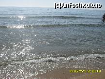 [P63] Marea Neagra la Nisipurile de Aur.  » foto by adryana
 - 
<span class="allrVoted glyphicon glyphicon-heart hidden" id="av419658"></span>
<a class="m-l-10 hidden" id="sv419658" onclick="voting_Foto_DelVot(,419658,1259)" role="button">șterge vot <span class="glyphicon glyphicon-remove"></span></a>
<a id="v9419658" class=" c-red"  onclick="voting_Foto_SetVot(419658)" role="button"><span class="glyphicon glyphicon-heart-empty"></span> <b>LIKE</b> = Votează poza</a> <img class="hidden"  id="f419658W9" src="/imagini/loader.gif" border="0" /><span class="AjErrMes hidden" id="e419658ErM"></span>