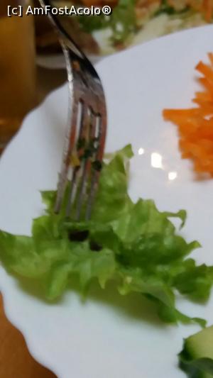 [P01] Salata cu pamant » foto by Alex Coman
 - 
<span class="allrVoted glyphicon glyphicon-heart hidden" id="av847577"></span>
<a class="m-l-10 hidden" id="sv847577" onclick="voting_Foto_DelVot(,847577,1259)" role="button">șterge vot <span class="glyphicon glyphicon-remove"></span></a>
<a id="v9847577" class=" c-red"  onclick="voting_Foto_SetVot(847577)" role="button"><span class="glyphicon glyphicon-heart-empty"></span> <b>LIKE</b> = Votează poza</a> <img class="hidden"  id="f847577W9" src="/imagini/loader.gif" border="0" /><span class="AjErrMes hidden" id="e847577ErM"></span>