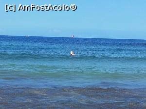 [P48] Vive la Vida - Sol Tenerife - oceanul în trei culori » foto by nicole33
 - 
<span class="allrVoted glyphicon glyphicon-heart hidden" id="av933770"></span>
<a class="m-l-10 hidden" id="sv933770" onclick="voting_Foto_DelVot(,933770,1261)" role="button">șterge vot <span class="glyphicon glyphicon-remove"></span></a>
<a id="v9933770" class=" c-red"  onclick="voting_Foto_SetVot(933770)" role="button"><span class="glyphicon glyphicon-heart-empty"></span> <b>LIKE</b> = Votează poza</a> <img class="hidden"  id="f933770W9" src="/imagini/loader.gif" border="0" /><span class="AjErrMes hidden" id="e933770ErM"></span>