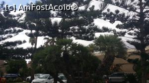 [P52] Vive la Vida - Sol Tenerife - în parcarea hotelului » foto by nicole33
 - 
<span class="allrVoted glyphicon glyphicon-heart hidden" id="av933774"></span>
<a class="m-l-10 hidden" id="sv933774" onclick="voting_Foto_DelVot(,933774,1261)" role="button">șterge vot <span class="glyphicon glyphicon-remove"></span></a>
<a id="v9933774" class=" c-red"  onclick="voting_Foto_SetVot(933774)" role="button"><span class="glyphicon glyphicon-heart-empty"></span> <b>LIKE</b> = Votează poza</a> <img class="hidden"  id="f933774W9" src="/imagini/loader.gif" border="0" /><span class="AjErrMes hidden" id="e933774ErM"></span>