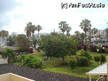 [P12] Vedere din balconul de la etajul 2, Sol Tenerife » foto by pink_gabi*
 - 
<span class="allrVoted glyphicon glyphicon-heart hidden" id="av74784"></span>
<a class="m-l-10 hidden" id="sv74784" onclick="voting_Foto_DelVot(,74784,1261)" role="button">șterge vot <span class="glyphicon glyphicon-remove"></span></a>
<a id="v974784" class=" c-red"  onclick="voting_Foto_SetVot(74784)" role="button"><span class="glyphicon glyphicon-heart-empty"></span> <b>LIKE</b> = Votează poza</a> <img class="hidden"  id="f74784W9" src="/imagini/loader.gif" border="0" /><span class="AjErrMes hidden" id="e74784ErM"></span>