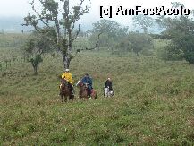 [P05] Pe drumul spre jungla » foto by larimar2008*
 - 
<span class="allrVoted glyphicon glyphicon-heart hidden" id="av4526"></span>
<a class="m-l-10 hidden" id="sv4526" onclick="voting_Foto_DelVot(,4526,1272)" role="button">șterge vot <span class="glyphicon glyphicon-remove"></span></a>
<a id="v94526" class=" c-red"  onclick="voting_Foto_SetVot(4526)" role="button"><span class="glyphicon glyphicon-heart-empty"></span> <b>LIKE</b> = Votează poza</a> <img class="hidden"  id="f4526W9" src="/imagini/loader.gif" border="0" /><span class="AjErrMes hidden" id="e4526ErM"></span>