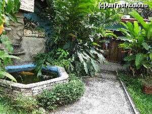 [P01] aceasta e curtea interioara a hotelului Old Hause, Alajuela. Usa din spate este intrarea in camera unde imi petrec acum aceste zile » foto by grecudoina
 - 
<span class="allrVoted glyphicon glyphicon-heart hidden" id="av581866"></span>
<a class="m-l-10 hidden" id="sv581866" onclick="voting_Foto_DelVot(,581866,1272)" role="button">șterge vot <span class="glyphicon glyphicon-remove"></span></a>
<a id="v9581866" class=" c-red"  onclick="voting_Foto_SetVot(581866)" role="button"><span class="glyphicon glyphicon-heart-empty"></span> <b>LIKE</b> = Votează poza</a> <img class="hidden"  id="f581866W9" src="/imagini/loader.gif" border="0" /><span class="AjErrMes hidden" id="e581866ErM"></span>