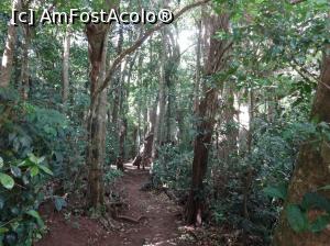 [P10] prin parcul Curry-Cancha » foto by grecudoina
 - 
<span class="allrVoted glyphicon glyphicon-heart hidden" id="av787309"></span>
<a class="m-l-10 hidden" id="sv787309" onclick="voting_Foto_DelVot(,787309,1272)" role="button">șterge vot <span class="glyphicon glyphicon-remove"></span></a>
<a id="v9787309" class=" c-red"  onclick="voting_Foto_SetVot(787309)" role="button"><span class="glyphicon glyphicon-heart-empty"></span> <b>LIKE</b> = Votează poza</a> <img class="hidden"  id="f787309W9" src="/imagini/loader.gif" border="0" /><span class="AjErrMes hidden" id="e787309ErM"></span>