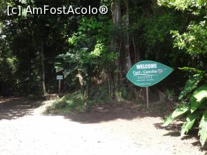 [P08] o vizita prin parcul national Curry-Cancha Monteverde » foto by grecudoina
 - 
<span class="allrVoted glyphicon glyphicon-heart hidden" id="av787307"></span>
<a class="m-l-10 hidden" id="sv787307" onclick="voting_Foto_DelVot(,787307,1272)" role="button">șterge vot <span class="glyphicon glyphicon-remove"></span></a>
<a id="v9787307" class=" c-red"  onclick="voting_Foto_SetVot(787307)" role="button"><span class="glyphicon glyphicon-heart-empty"></span> <b>LIKE</b> = Votează poza</a> <img class="hidden"  id="f787307W9" src="/imagini/loader.gif" border="0" /><span class="AjErrMes hidden" id="e787307ErM"></span>