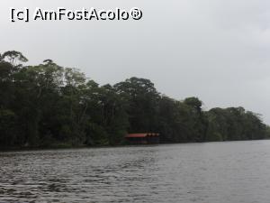 [P01] am plecat de la pontonul resortului spre canale, dimineata la ora 5,30 » foto by grecudoina
 - 
<span class="allrVoted glyphicon glyphicon-heart hidden" id="av803549"></span>
<a class="m-l-10 hidden" id="sv803549" onclick="voting_Foto_DelVot(,803549,1272)" role="button">șterge vot <span class="glyphicon glyphicon-remove"></span></a>
<a id="v9803549" class=" c-red"  onclick="voting_Foto_SetVot(803549)" role="button"><span class="glyphicon glyphicon-heart-empty"></span> <b>LIKE</b> = Votează poza</a> <img class="hidden"  id="f803549W9" src="/imagini/loader.gif" border="0" /><span class="AjErrMes hidden" id="e803549ErM"></span>