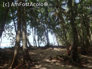 [P14] in cautarea pasarilor prin parc » foto by grecudoina
 - 
<span class="allrVoted glyphicon glyphicon-heart hidden" id="av1080777"></span>
<a class="m-l-10 hidden" id="sv1080777" onclick="voting_Foto_DelVot(,1080777,1272)" role="button">șterge vot <span class="glyphicon glyphicon-remove"></span></a>
<a id="v91080777" class=" c-red"  onclick="voting_Foto_SetVot(1080777)" role="button"><span class="glyphicon glyphicon-heart-empty"></span> <b>LIKE</b> = Votează poza</a> <img class="hidden"  id="f1080777W9" src="/imagini/loader.gif" border="0" /><span class="AjErrMes hidden" id="e1080777ErM"></span>