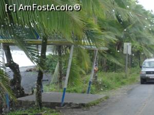 [P04] statia de autobuz pt reantoarcerea in Cahuita » foto by grecudoina
 - 
<span class="allrVoted glyphicon glyphicon-heart hidden" id="av1080767"></span>
<a class="m-l-10 hidden" id="sv1080767" onclick="voting_Foto_DelVot(,1080767,1272)" role="button">șterge vot <span class="glyphicon glyphicon-remove"></span></a>
<a id="v91080767" class=" c-red"  onclick="voting_Foto_SetVot(1080767)" role="button"><span class="glyphicon glyphicon-heart-empty"></span> <b>LIKE</b> = Votează poza</a> <img class="hidden"  id="f1080767W9" src="/imagini/loader.gif" border="0" /><span class="AjErrMes hidden" id="e1080767ErM"></span>