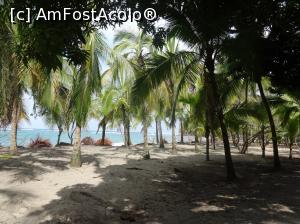 [P05] plaja de la Manzanillo » foto by grecudoina
 - 
<span class="allrVoted glyphicon glyphicon-heart hidden" id="av1080768"></span>
<a class="m-l-10 hidden" id="sv1080768" onclick="voting_Foto_DelVot(,1080768,1272)" role="button">șterge vot <span class="glyphicon glyphicon-remove"></span></a>
<a id="v91080768" class=" c-red"  onclick="voting_Foto_SetVot(1080768)" role="button"><span class="glyphicon glyphicon-heart-empty"></span> <b>LIKE</b> = Votează poza</a> <img class="hidden"  id="f1080768W9" src="/imagini/loader.gif" border="0" /><span class="AjErrMes hidden" id="e1080768ErM"></span>