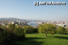 [P12] cu budapesta la picioare » foto by mariana
 - 
<span class="allrVoted glyphicon glyphicon-heart hidden" id="av105600"></span>
<a class="m-l-10 hidden" id="sv105600" onclick="voting_Foto_DelVot(,105600,1275)" role="button">șterge vot <span class="glyphicon glyphicon-remove"></span></a>
<a id="v9105600" class=" c-red"  onclick="voting_Foto_SetVot(105600)" role="button"><span class="glyphicon glyphicon-heart-empty"></span> <b>LIKE</b> = Votează poza</a> <img class="hidden"  id="f105600W9" src="/imagini/loader.gif" border="0" /><span class="AjErrMes hidden" id="e105600ErM"></span>