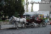 [P20] se poate si asa sa vezi budapesta » foto by mariana
 - 
<span class="allrVoted glyphicon glyphicon-heart hidden" id="av105608"></span>
<a class="m-l-10 hidden" id="sv105608" onclick="voting_Foto_DelVot(,105608,1275)" role="button">șterge vot <span class="glyphicon glyphicon-remove"></span></a>
<a id="v9105608" class=" c-red"  onclick="voting_Foto_SetVot(105608)" role="button"><span class="glyphicon glyphicon-heart-empty"></span> <b>LIKE</b> = Votează poza</a> <img class="hidden"  id="f105608W9" src="/imagini/loader.gif" border="0" /><span class="AjErrMes hidden" id="e105608ErM"></span>