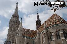 [P06] catedrala matei corvin,budapesta » foto by mariana
 - 
<span class="allrVoted glyphicon glyphicon-heart hidden" id="av105594"></span>
<a class="m-l-10 hidden" id="sv105594" onclick="voting_Foto_DelVot(,105594,1275)" role="button">șterge vot <span class="glyphicon glyphicon-remove"></span></a>
<a id="v9105594" class=" c-red"  onclick="voting_Foto_SetVot(105594)" role="button"><span class="glyphicon glyphicon-heart-empty"></span> <b>LIKE</b> = Votează poza</a> <img class="hidden"  id="f105594W9" src="/imagini/loader.gif" border="0" /><span class="AjErrMes hidden" id="e105594ErM"></span>