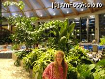 [P14] Langa plantele exotice din fata la jacuzzi » foto by dananecula*
 - 
<span class="allrVoted glyphicon glyphicon-heart hidden" id="av122521"></span>
<a class="m-l-10 hidden" id="sv122521" onclick="voting_Foto_DelVot(,122521,1275)" role="button">șterge vot <span class="glyphicon glyphicon-remove"></span></a>
<a id="v9122521" class=" c-red"  onclick="voting_Foto_SetVot(122521)" role="button"><span class="glyphicon glyphicon-heart-empty"></span> <b>LIKE</b> = Votează poza</a> <img class="hidden"  id="f122521W9" src="/imagini/loader.gif" border="0" /><span class="AjErrMes hidden" id="e122521ErM"></span>