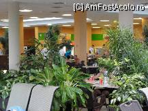 [P07] Mesele de la fast-food erau amplasate printre plante ornamentale superbe » foto by dananecula*
 - 
<span class="allrVoted glyphicon glyphicon-heart hidden" id="av122423"></span>
<a class="m-l-10 hidden" id="sv122423" onclick="voting_Foto_DelVot(,122423,1275)" role="button">șterge vot <span class="glyphicon glyphicon-remove"></span></a>
<a id="v9122423" class=" c-red"  onclick="voting_Foto_SetVot(122423)" role="button"><span class="glyphicon glyphicon-heart-empty"></span> <b>LIKE</b> = Votează poza</a> <img class="hidden"  id="f122423W9" src="/imagini/loader.gif" border="0" /><span class="AjErrMes hidden" id="e122423ErM"></span>