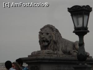 [P11] Podul este strajuit la ambele capete de statuile uriase ale ,,leilor fara limba”. Legenda spune ca sculptorul acestora a uitat sa le ciopleasca limbile si cand cineva i-a atras atentia, artistul s-a sinucis de rusine. » foto by geani anto
 - 
<span class="allrVoted glyphicon glyphicon-heart hidden" id="av1328559"></span>
<a class="m-l-10 hidden" id="sv1328559" onclick="voting_Foto_DelVot(,1328559,1275)" role="button">șterge vot <span class="glyphicon glyphicon-remove"></span></a>
<a id="v91328559" class=" c-red"  onclick="voting_Foto_SetVot(1328559)" role="button"><span class="glyphicon glyphicon-heart-empty"></span> <b>LIKE</b> = Votează poza</a> <img class="hidden"  id="f1328559W9" src="/imagini/loader.gif" border="0" /><span class="AjErrMes hidden" id="e1328559ErM"></span>