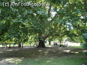 [P20]  -- <small>// FĂRĂ DESCRIERE</small> » foto by geani anto
 - 
<span class="allrVoted glyphicon glyphicon-heart hidden" id="av1328568"></span>
<a class="m-l-10 hidden" id="sv1328568" onclick="voting_Foto_DelVot(,1328568,1275)" role="button">șterge vot <span class="glyphicon glyphicon-remove"></span></a>
<a id="v91328568" class=" c-red"  onclick="voting_Foto_SetVot(1328568)" role="button"><span class="glyphicon glyphicon-heart-empty"></span> <b>LIKE</b> = Votează poza</a> <img class="hidden"  id="f1328568W9" src="/imagini/loader.gif" border="0" /><span class="AjErrMes hidden" id="e1328568ErM"></span>