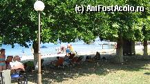 [P11]  -- <small>// FĂRĂ DESCRIERE</small> » foto by dori
 - 
<span class="allrVoted glyphicon glyphicon-heart hidden" id="av10961"></span>
<a class="m-l-10 hidden" id="sv10961" onclick="voting_Foto_DelVot(,10961,1344)" role="button">șterge vot <span class="glyphicon glyphicon-remove"></span></a>
<a id="v910961" class=" c-red"  onclick="voting_Foto_SetVot(10961)" role="button"><span class="glyphicon glyphicon-heart-empty"></span> <b>LIKE</b> = Votează poza</a> <img class="hidden"  id="f10961W9" src="/imagini/loader.gif" border="0" /><span class="AjErrMes hidden" id="e10961ErM"></span>