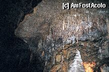 [P03] postojna » foto by mariana
 - 
<span class="allrVoted glyphicon glyphicon-heart hidden" id="av4756"></span>
<a class="m-l-10 hidden" id="sv4756" onclick="voting_Foto_DelVot(,4756,1382)" role="button">șterge vot <span class="glyphicon glyphicon-remove"></span></a>
<a id="v94756" class=" c-red"  onclick="voting_Foto_SetVot(4756)" role="button"><span class="glyphicon glyphicon-heart-empty"></span> <b>LIKE</b> = Votează poza</a> <img class="hidden"  id="f4756W9" src="/imagini/loader.gif" border="0" /><span class="AjErrMes hidden" id="e4756ErM"></span>