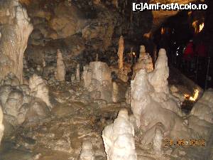 [P12] Slovenia - Pestera Postojna cu minunatiile ei.  » foto by Diaura*
 - 
<span class="allrVoted glyphicon glyphicon-heart hidden" id="av394960"></span>
<a class="m-l-10 hidden" id="sv394960" onclick="voting_Foto_DelVot(,394960,1382)" role="button">șterge vot <span class="glyphicon glyphicon-remove"></span></a>
<a id="v9394960" class=" c-red"  onclick="voting_Foto_SetVot(394960)" role="button"><span class="glyphicon glyphicon-heart-empty"></span> <b>LIKE</b> = Votează poza</a> <img class="hidden"  id="f394960W9" src="/imagini/loader.gif" border="0" /><span class="AjErrMes hidden" id="e394960ErM"></span>
