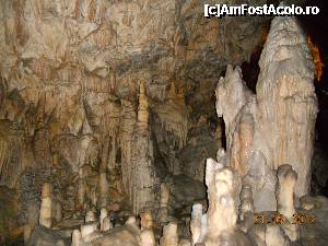 [P13] Slovenia - Pestera Postojna, noi am denumit aceasta formatiune ' catedrala '.  » foto by Diaura*
 - 
<span class="allrVoted glyphicon glyphicon-heart hidden" id="av394961"></span>
<a class="m-l-10 hidden" id="sv394961" onclick="voting_Foto_DelVot(,394961,1382)" role="button">șterge vot <span class="glyphicon glyphicon-remove"></span></a>
<a id="v9394961" class=" c-red"  onclick="voting_Foto_SetVot(394961)" role="button"><span class="glyphicon glyphicon-heart-empty"></span> <b>LIKE</b> = Votează poza</a> <img class="hidden"  id="f394961W9" src="/imagini/loader.gif" border="0" /><span class="AjErrMes hidden" id="e394961ErM"></span>