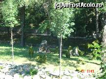 [P05] parculetul de care vorbeam » foto by ca_an_
 - 
<span class="allrVoted glyphicon glyphicon-heart hidden" id="av20723"></span>
<a class="m-l-10 hidden" id="sv20723" onclick="voting_Foto_DelVot(,20723,1382)" role="button">șterge vot <span class="glyphicon glyphicon-remove"></span></a>
<a id="v920723" class=" c-red"  onclick="voting_Foto_SetVot(20723)" role="button"><span class="glyphicon glyphicon-heart-empty"></span> <b>LIKE</b> = Votează poza</a> <img class="hidden"  id="f20723W9" src="/imagini/loader.gif" border="0" /><span class="AjErrMes hidden" id="e20723ErM"></span>